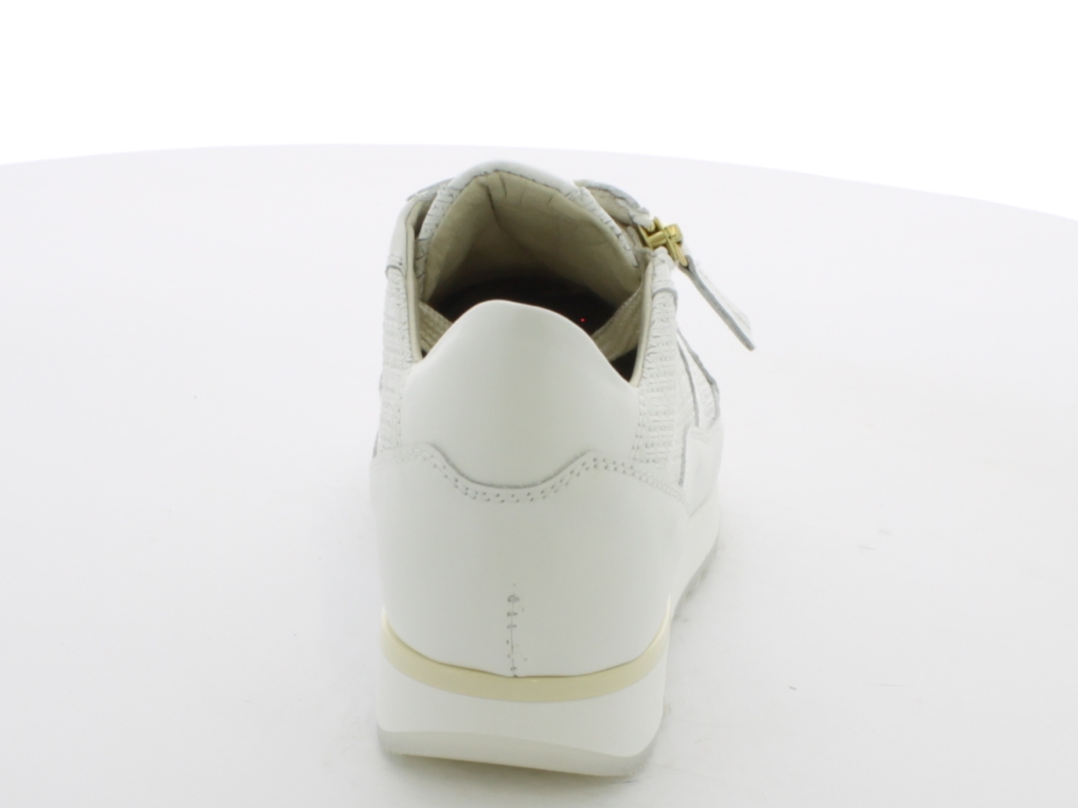 1-schoenen-dlsport-wit-128-6518-33913-4.jpg